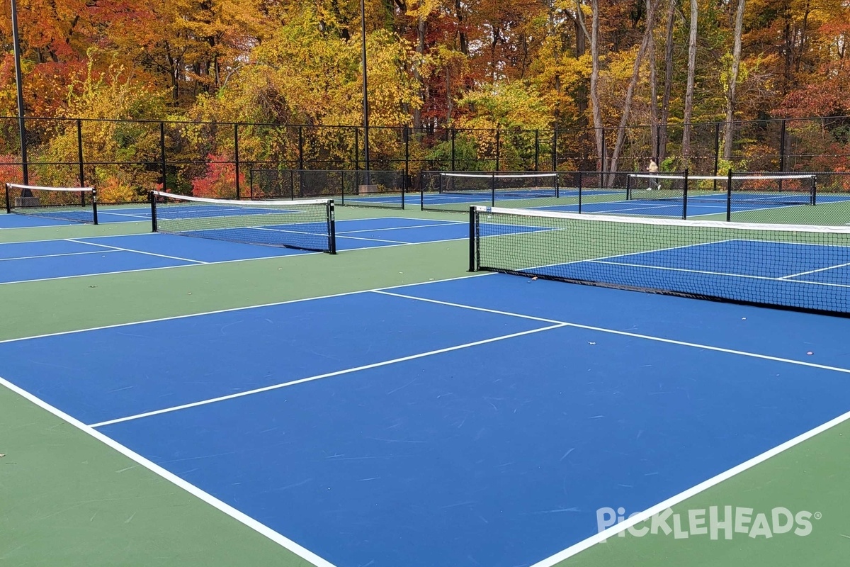 Photo of Pickleball at LP Wilson Community Center